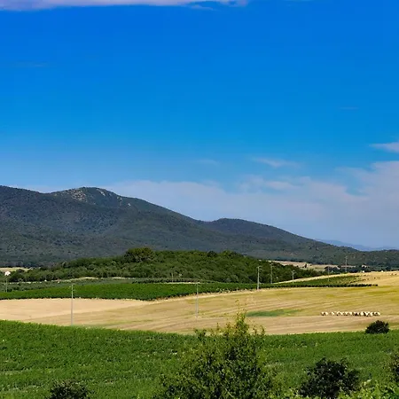 Brancalino